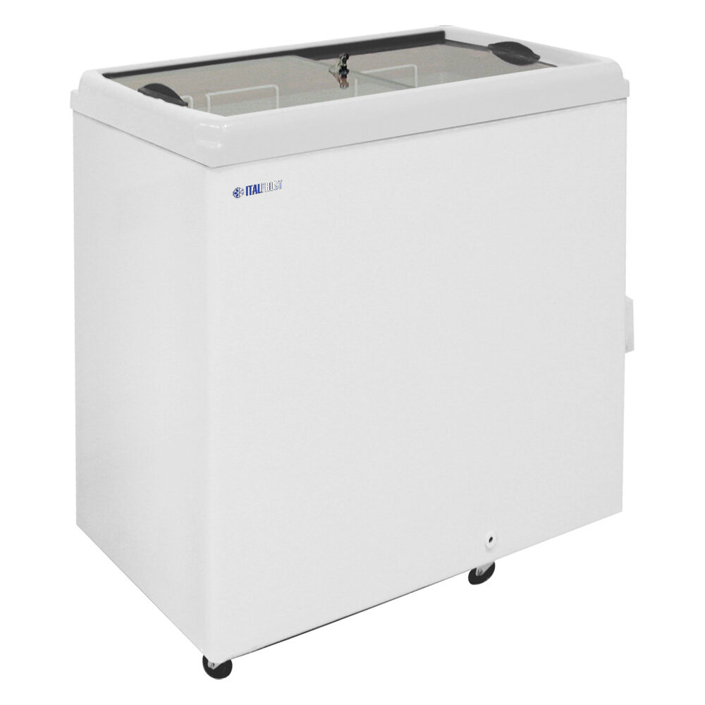 Ларь морозильный CF200F RAL 9003 Italfros 